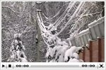 «Последствия ледяного дождя 2011 года в Кратово»